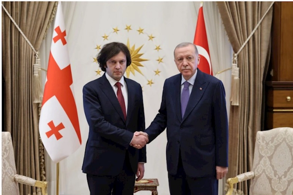 Ərdoğan Kobaxidze ilə təyyarənin ətrafında aparılan axtarış-xilasetmə işlərini müzakirə edib