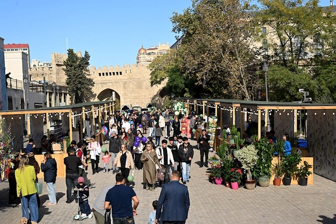 İçərişəhərdə Zeytun Festivalı davam edir — FOTOLAR