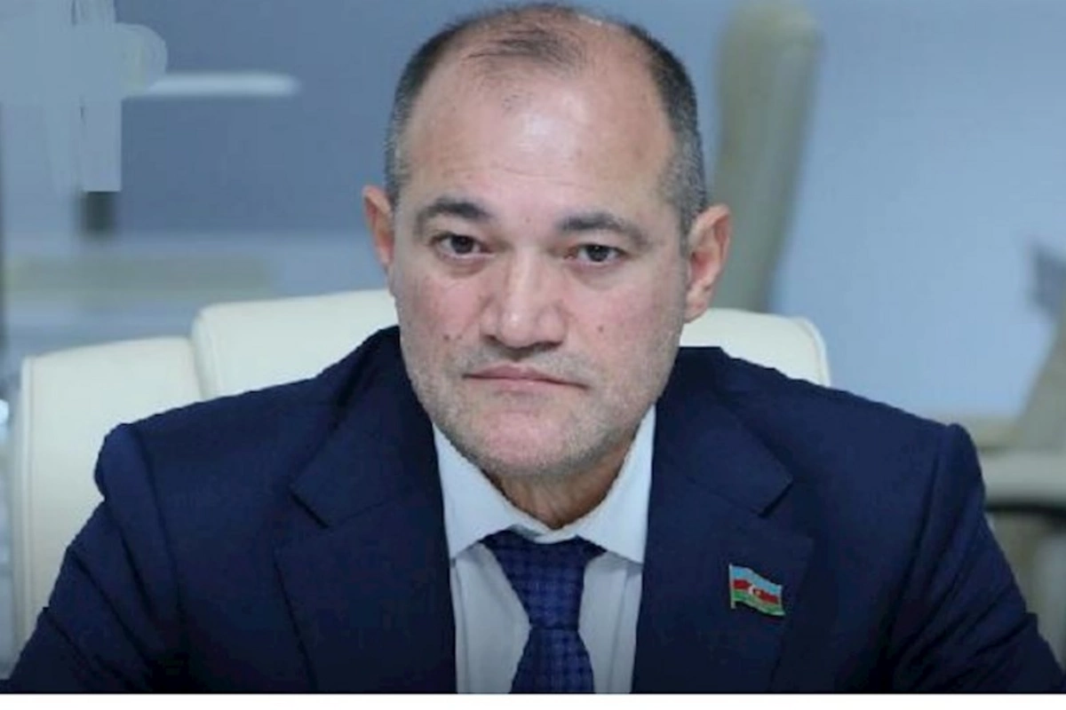 AYNA ümidləri doğrultmadı, ancaq cərimə kəsməkdə maraqlıdır — Deputat