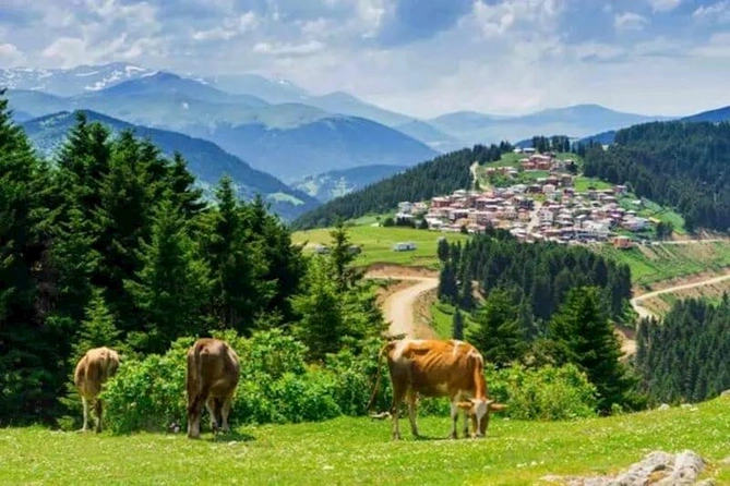 Giresun – Qara Dənizin yaşıl cənnəti — FOTOLAR Giresun – Qara Dənizin yaşıl cənnəti — FOTOLAR