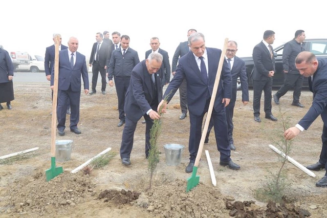 Hacıqabulda YAP-ın təsis edilməsinin 33 illiyi münasibəti ilə ağacəkmə aksiyası keçirildi — FOTOLAR Hacıqabulda YAP-ın təsis edilməsinin 33 illiyi münasibəti ilə ağacəkmə aksiyası keçirildi — FOTOLAR