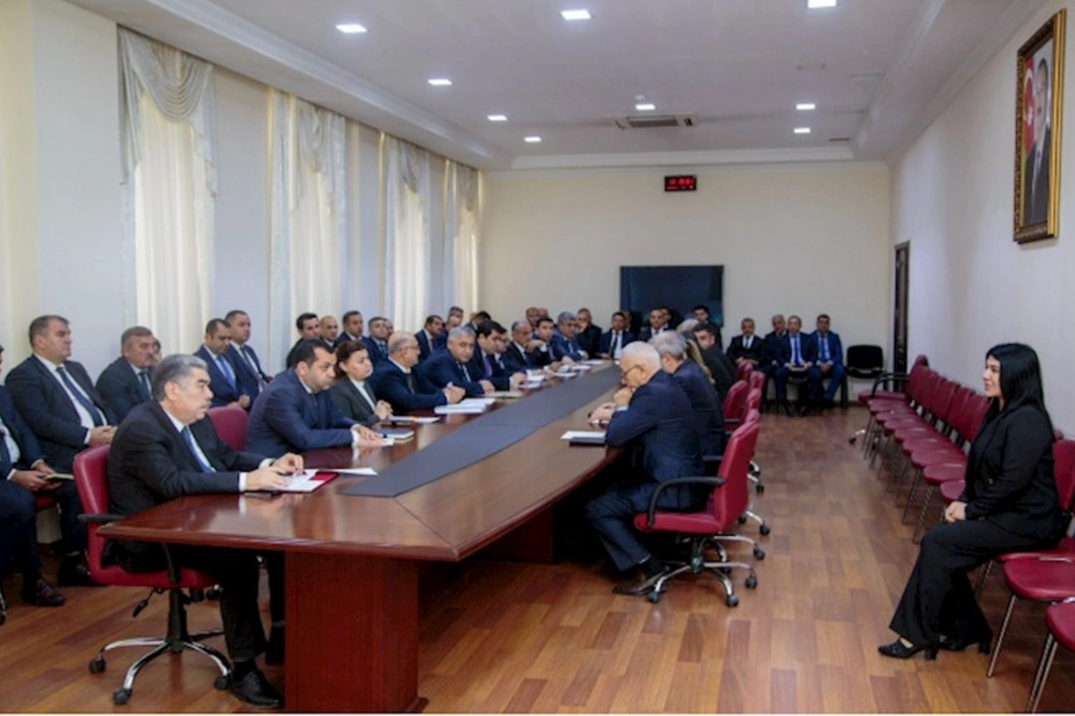 Salyanın icra başçısı fərdi qəbul keçirdi, vətəndaşların müraciətlərini dinlədi — FOTOLAR
