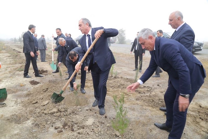 Hacıqabulda YAP-ın təsis edilməsinin 33 illiyi münasibəti ilə ağacəkmə aksiyası keçirildi — FOTOLAR Hacıqabulda YAP-ın təsis edilməsinin 33 illiyi münasibəti ilə ağacəkmə aksiyası keçirildi — FOTOLAR