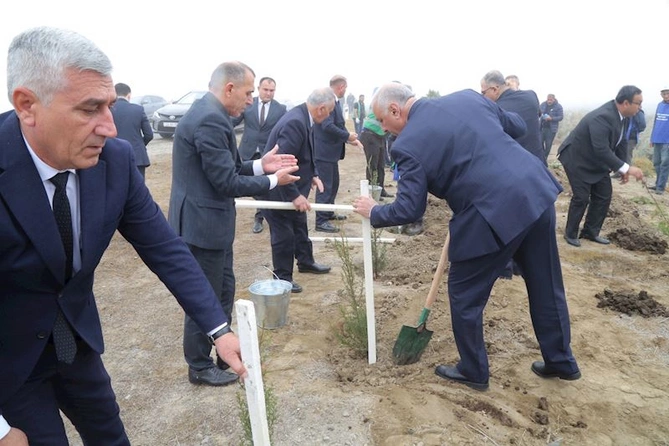 Hacıqabulda YAP-ın təsis edilməsinin 33 illiyi münasibəti ilə ağacəkmə aksiyası keçirildi — FOTOLAR Hacıqabulda YAP-ın təsis edilməsinin 33 illiyi münasibəti ilə ağacəkmə aksiyası keçirildi — FOTOLAR
