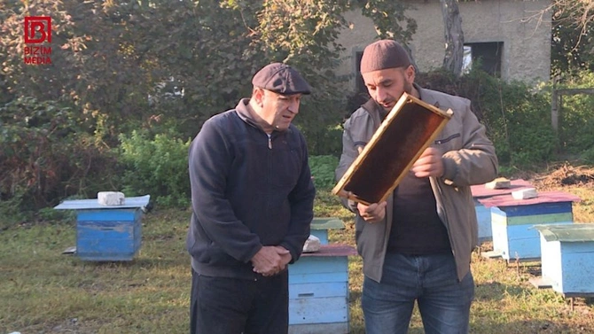 Zaqatalada arılar kütləvi halda MƏHV OLUR — Karantin tətbiq olunacaq? (FOTOLAR)