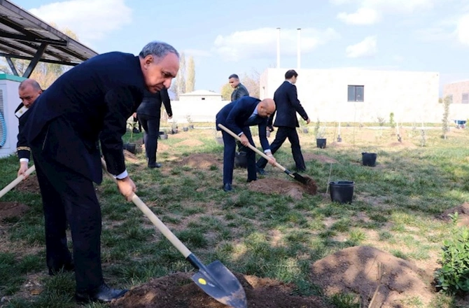 Baş prokurorun iştirakı ilə Zəngilanda ağacəkmə aksiyası keçirilib — FOTOLAR