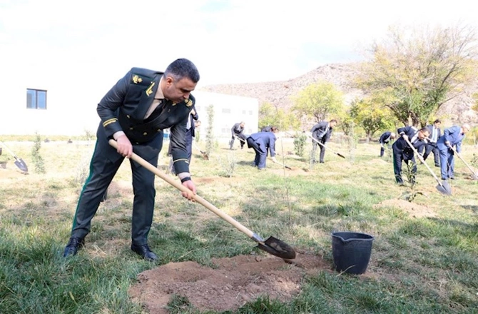 Baş prokurorun iştirakı ilə Zəngilanda ağacəkmə aksiyası keçirilib — FOTOLAR