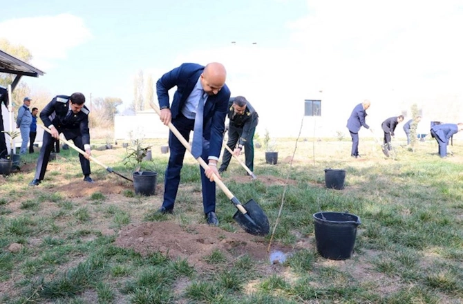 Baş prokurorun iştirakı ilə Zəngilanda ağacəkmə aksiyası keçirilib — FOTOLAR