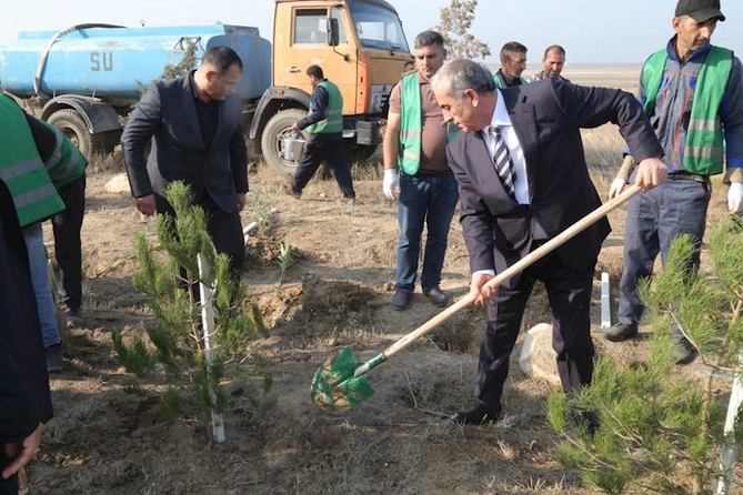 Hacıqabulda “8 noyabr - Zəfər günü” münasibətilə ağacəkmə aksiyası keçirildi — FOTOLAR