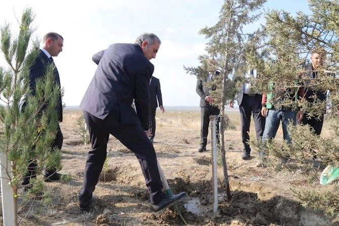 Hacıqabulda “8 noyabr - Zəfər günü” münasibətilə ağacəkmə aksiyası keçirildi — FOTOLAR
