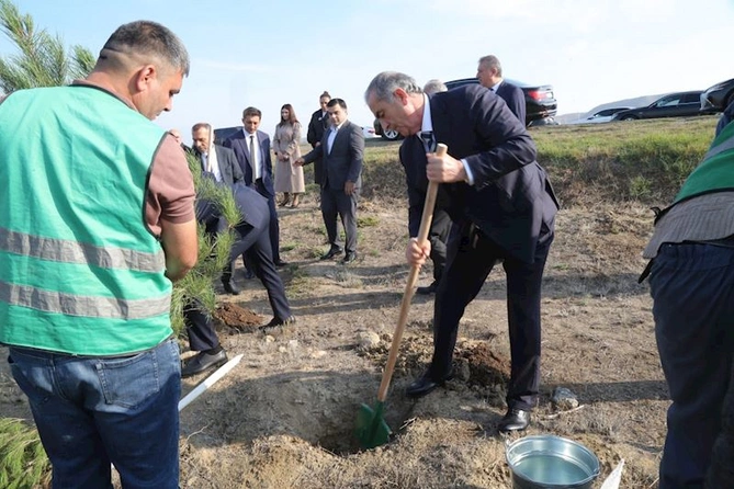 Hacıqabulda “8 noyabr - Zəfər günü” münasibətilə ağacəkmə aksiyası keçirildi — FOTOLAR