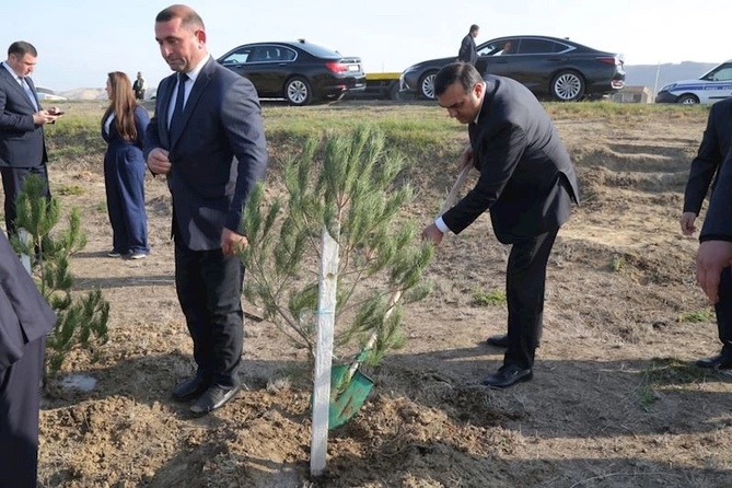 Hacıqabulda “8 noyabr - Zəfər günü” münasibətilə ağacəkmə aksiyası keçirildi — FOTOLAR