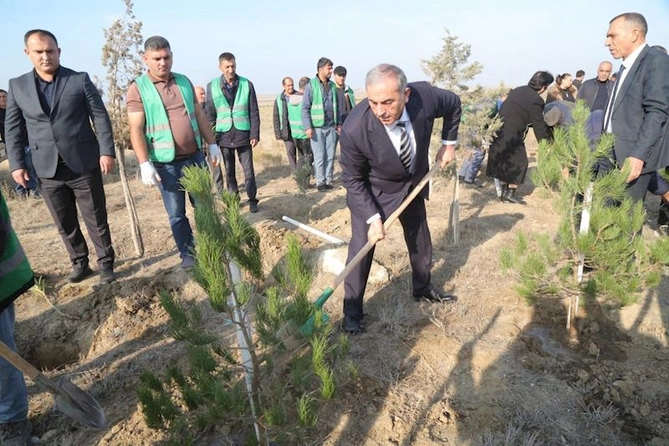 Hacıqabulda “8 noyabr - Zəfər günü” münasibətilə ağacəkmə aksiyası keçirildi — FOTOLAR
