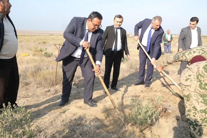 Hacıqabulda “8 noyabr - Zəfər günü” münasibətilə ağacəkmə aksiyası keçirildi — FOTOLAR