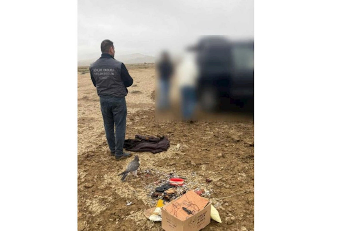 Azərbaycanda ov qaydalarını pozan əcnəbilər saxlanıldı
