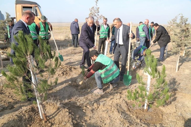 Hacıqabulda “8 noyabr - Zəfər günü” münasibətilə ağacəkmə aksiyası keçirildi — FOTOLAR