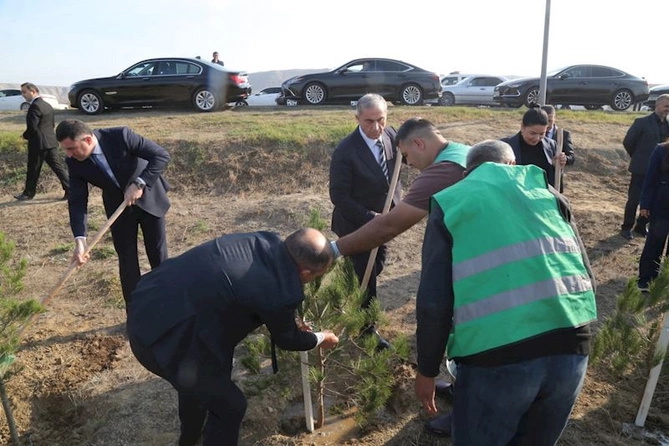 Hacıqabulda “8 noyabr - Zəfər günü” münasibətilə ağacəkmə aksiyası keçirildi — FOTOLAR