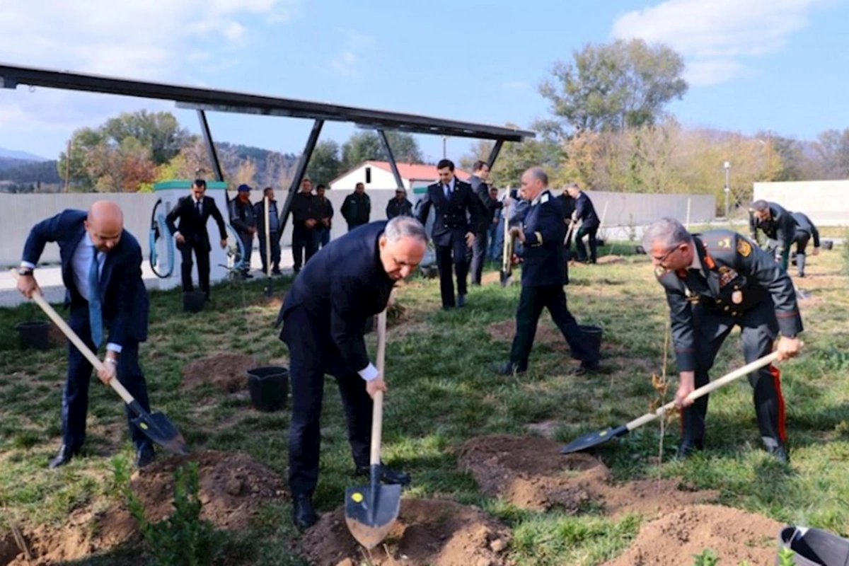 Baş prokurorun iştirakı ilə Zəngilanda ağacəkmə aksiyası keçirilib — FOTOLAR