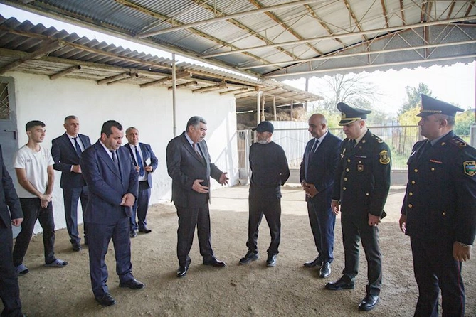 İcra başçısı şəhidlərin ailələrini ziyarət edir — FOTOLAR