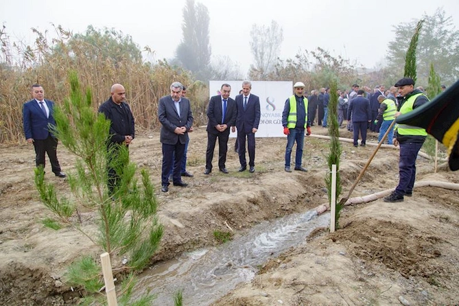 Salyanda Zəfər Günü ilə bağlı ağacəkmə aksiyası keçirildi — FOTOLAR Salyanda Zəfər Günü ilə bağlı ağacəkmə aksiyası keçirildi — FOTOLAR
