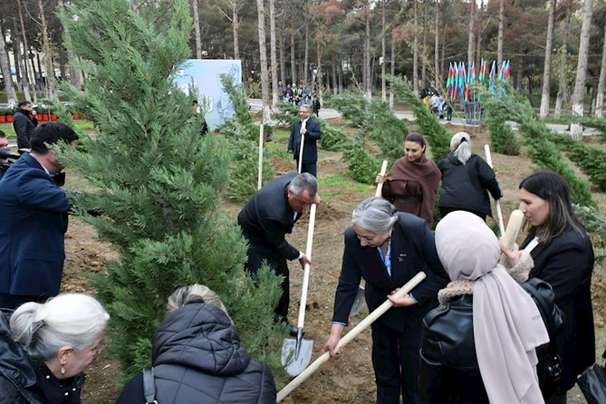 Abşeronda Zəfər Günü ilə əlaqədar ağacəkmə aksiyası keçirildi — FOTOLAR