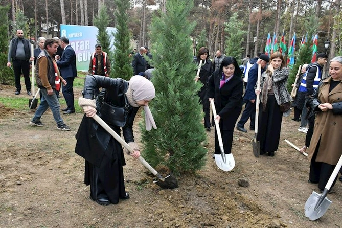 Abşeronda Zəfər Günü ilə əlaqədar ağacəkmə aksiyası keçirildi — FOTOLAR