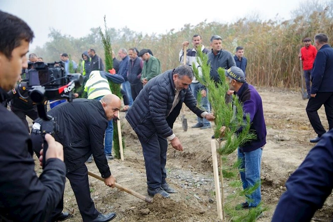 Salyanda Zəfər Günü ilə bağlı ağacəkmə aksiyası keçirildi — FOTOLAR Salyanda Zəfər Günü ilə bağlı ağacəkmə aksiyası keçirildi — FOTOLAR