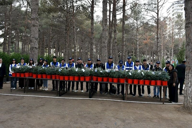 Abşeronda Zəfər Günü ilə əlaqədar ağacəkmə aksiyası keçirildi — FOTOLAR