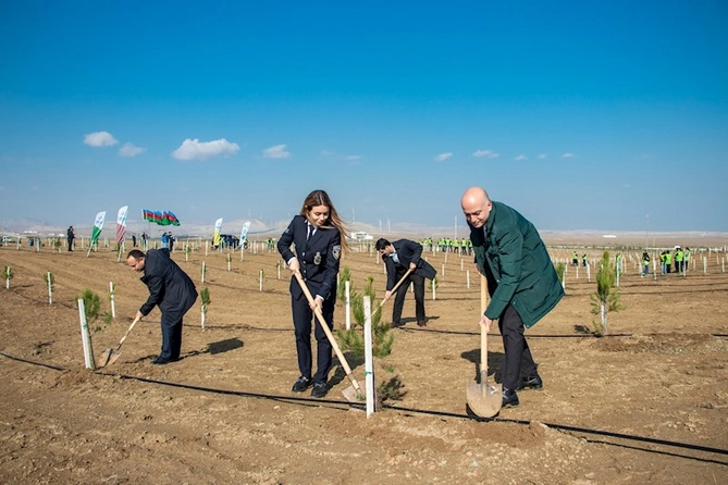 ETSN tərəfindən Zəfər Gününə həsr olunmuş tədbirlər keçirilib — FOTOLAR