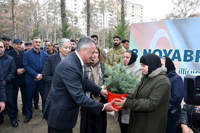 Abşeronda Zəfər Günü ilə əlaqədar ağacəkmə aksiyası keçirildi — FOTOLAR