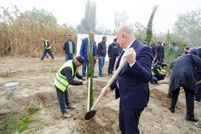 Salyanda Zəfər Günü ilə bağlı ağacəkmə aksiyası keçirildi — FOTOLAR Salyanda Zəfər Günü ilə bağlı ağacəkmə aksiyası keçirildi — FOTOLAR