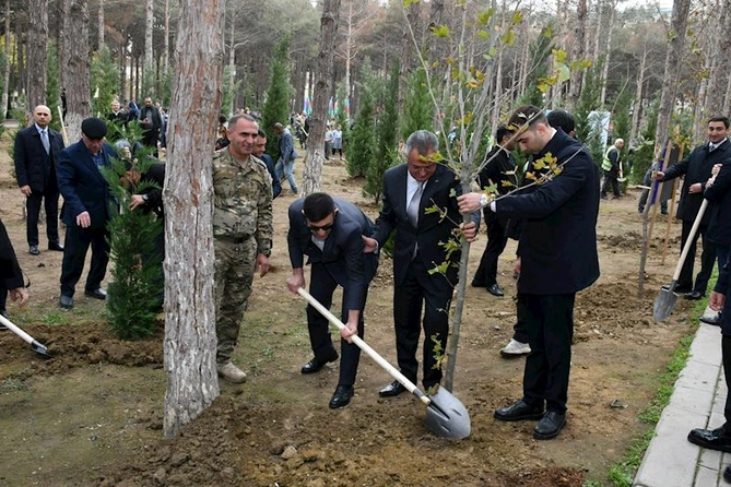 Abşeronda Zəfər Günü ilə əlaqədar ağacəkmə aksiyası keçirildi — FOTOLAR