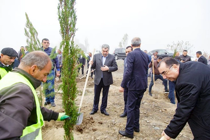 Salyanda Zəfər Günü ilə bağlı ağacəkmə aksiyası keçirildi — FOTOLAR Salyanda Zəfər Günü ilə bağlı ağacəkmə aksiyası keçirildi — FOTOLAR