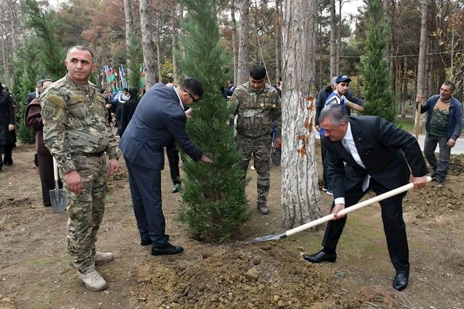 Abşeronda Zəfər Günü ilə əlaqədar ağacəkmə aksiyası keçirildi — FOTOLAR