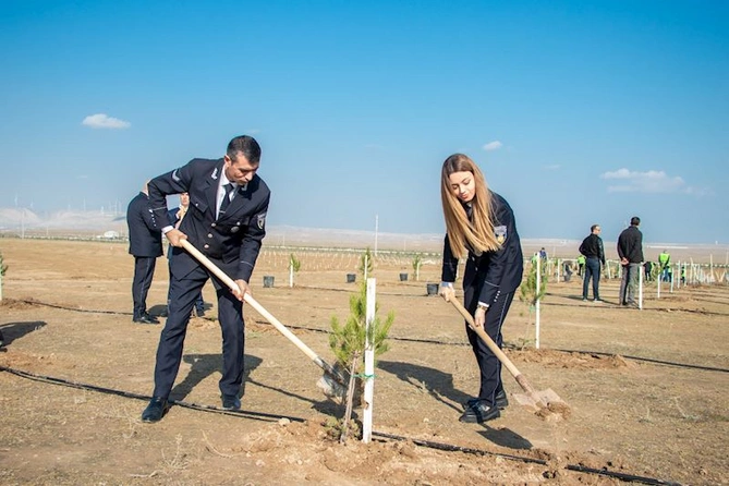 Zəfər Günü ilə əlaqədar ağacəkmə aksiyası keçirilib — FOTOLAR Zəfər Günü ilə əlaqədar ağacəkmə aksiyası keçirilib — FOTOLAR