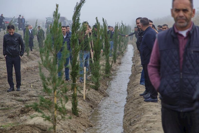 Salyanda Zəfər Günü ilə bağlı ağacəkmə aksiyası keçirildi — FOTOLAR Salyanda Zəfər Günü ilə bağlı ağacəkmə aksiyası keçirildi — FOTOLAR