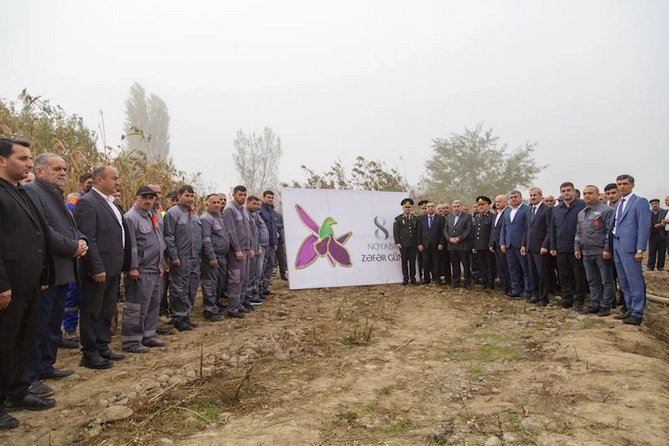 Salyanda Zəfər Günü ilə bağlı ağacəkmə aksiyası keçirildi — FOTOLAR Salyanda Zəfər Günü ilə bağlı ağacəkmə aksiyası keçirildi — FOTOLAR