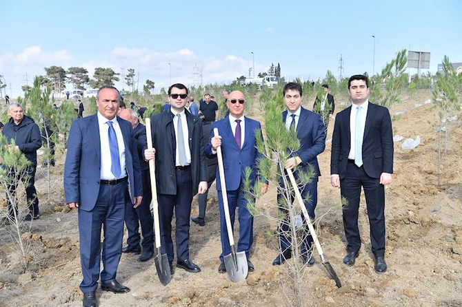 ADSEA Zəfər Günü münasibətilə ağacəkmə aksiyası təşkil edib — FOTOLAR