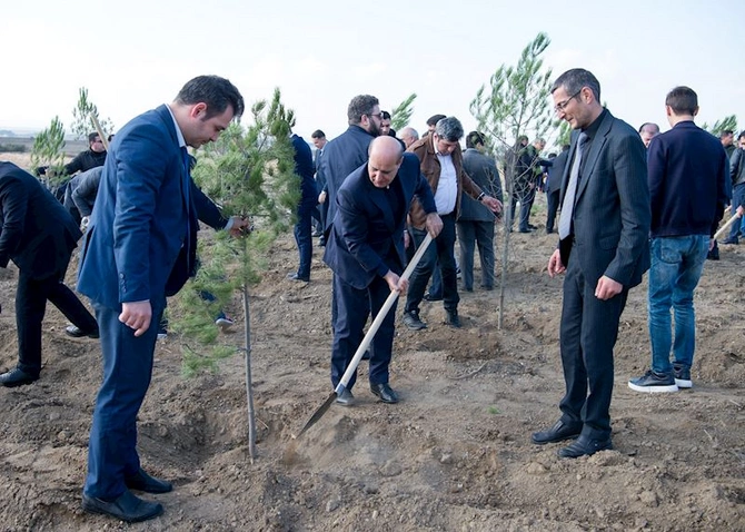 ADSEA Zəfər Günü münasibətilə ağacəkmə aksiyası təşkil edib — FOTOLAR