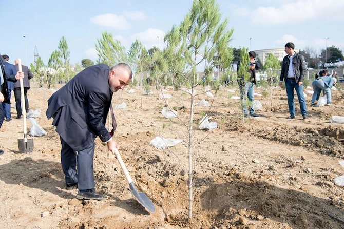 ADSEA Zəfər Günü münasibətilə ağacəkmə aksiyası təşkil edib — FOTOLAR