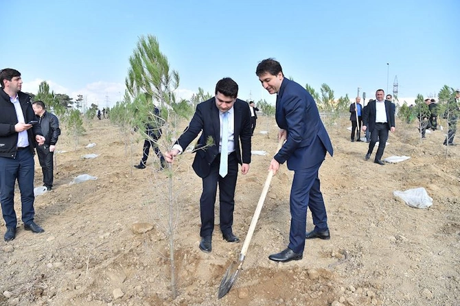 ADSEA Zəfər Günü münasibətilə ağacəkmə aksiyası təşkil edib — FOTOLAR