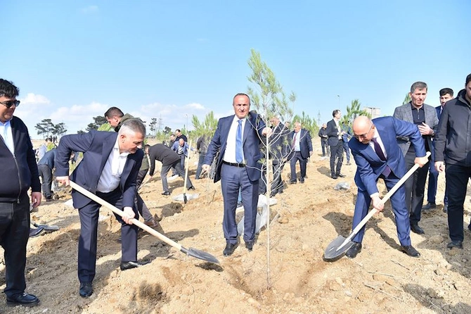 ADSEA Zəfər Günü münasibətilə ağacəkmə aksiyası təşkil edib — FOTOLAR