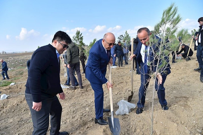 ADSEA Zəfər Günü münasibətilə ağacəkmə aksiyası təşkil edib — FOTOLAR