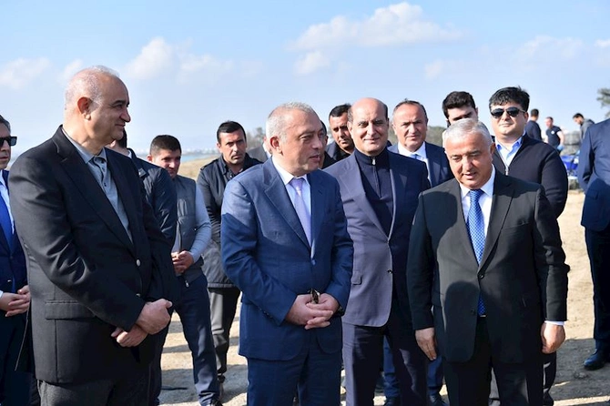 ADSEA Zəfər Günü münasibətilə ağacəkmə aksiyası təşkil edib — FOTOLAR