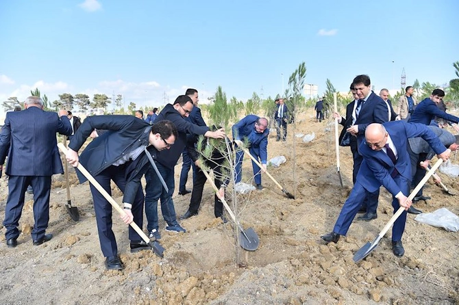 ADSEA Zəfər Günü münasibətilə ağacəkmə aksiyası təşkil edib — FOTOLAR