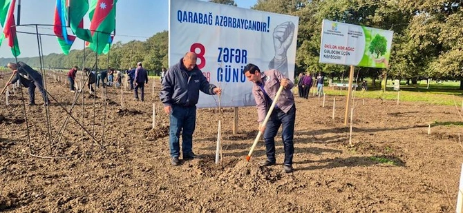Zəfər Günü ilə əlaqədar 30 mindən artıq ağac əkilib — FOTOLAR