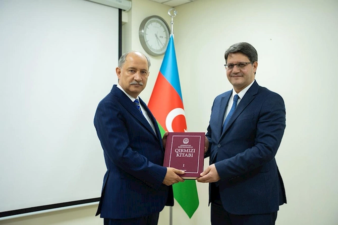 Türkiyə nümayəndə heyəti ilə işgüzar görüş keçirilib — FOTOLAR