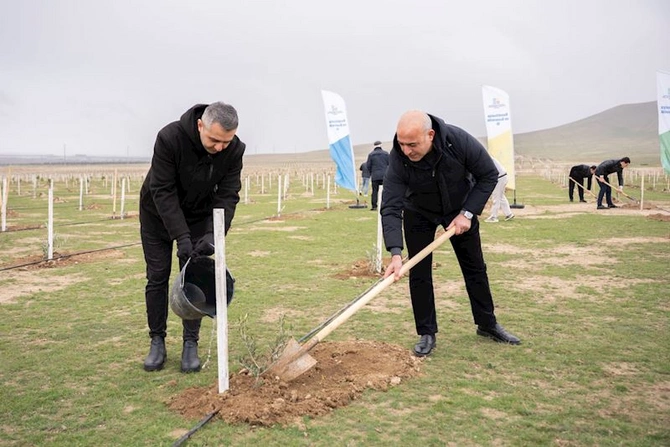 Vəkil Günü peşə bayramına həsr olunmuş ağacəkmə aksiyası keçirilib — FOTOLAR Vəkil Günü peşə bayramına həsr olunmuş ağacəkmə aksiyası keçirilib — FOTOLAR