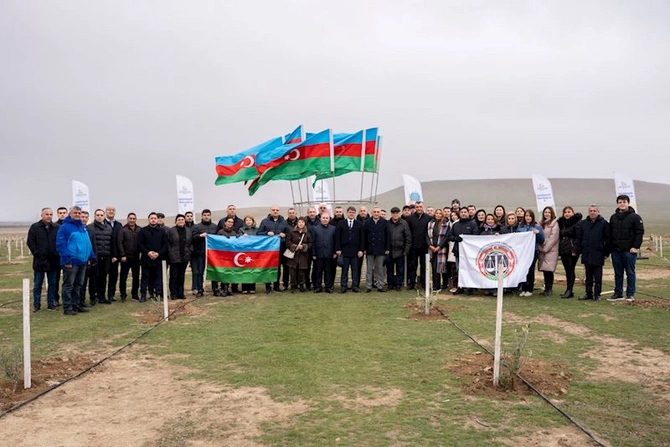 Vəkil Günü peşə bayramına həsr olunmuş ağacəkmə aksiyası keçirilib — FOTOLAR Vəkil Günü peşə bayramına həsr olunmuş ağacəkmə aksiyası keçirilib — FOTOLAR