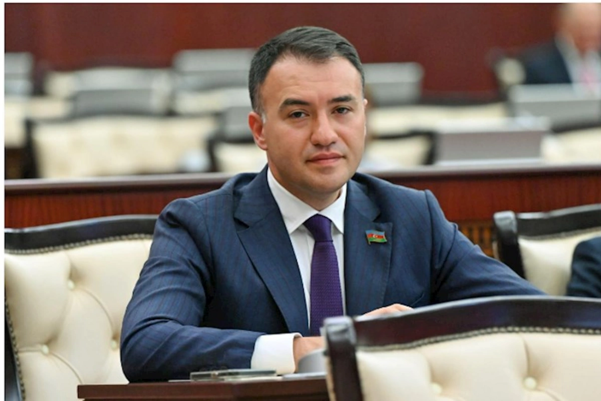 Anti-milli reaksiya dilənçiləri